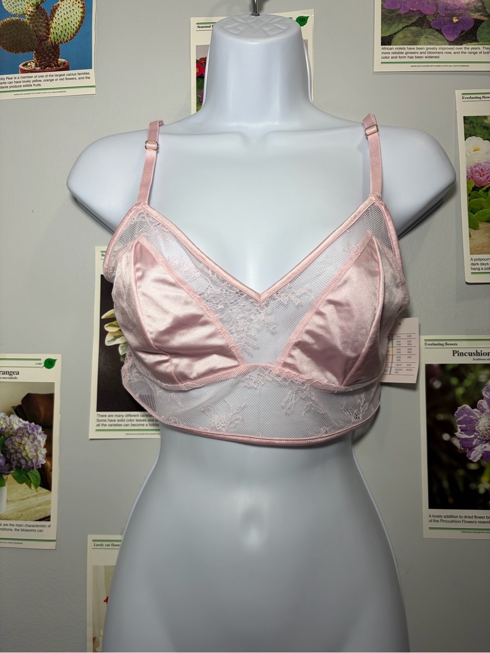 Auden Pale Pink Lace Satin Bralette
